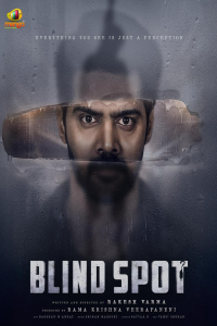 Download Blind Spot (2025) Dual Audio (Hindi-Telugu) Movie WEB-DL || 480p [400MB] || 720p [850MB] || 1080p [1.9GB]